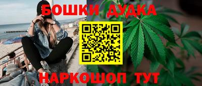 герыч Кингисепп