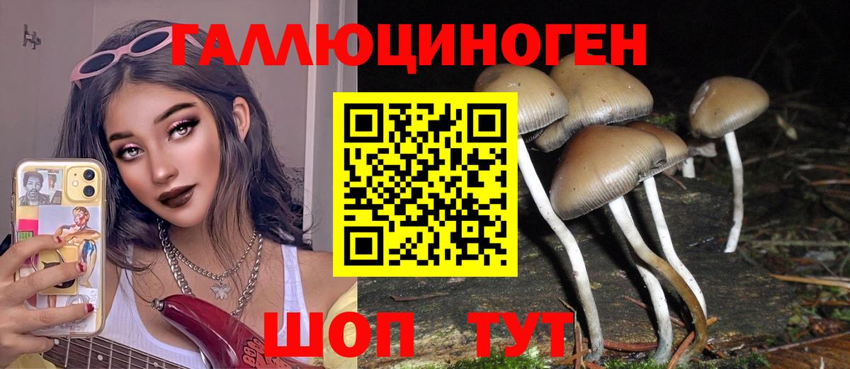 Ленинск-Кузнецкий  цены наркотик  Вход с VPN  Псилоцибиновые грибы Psilocybe 