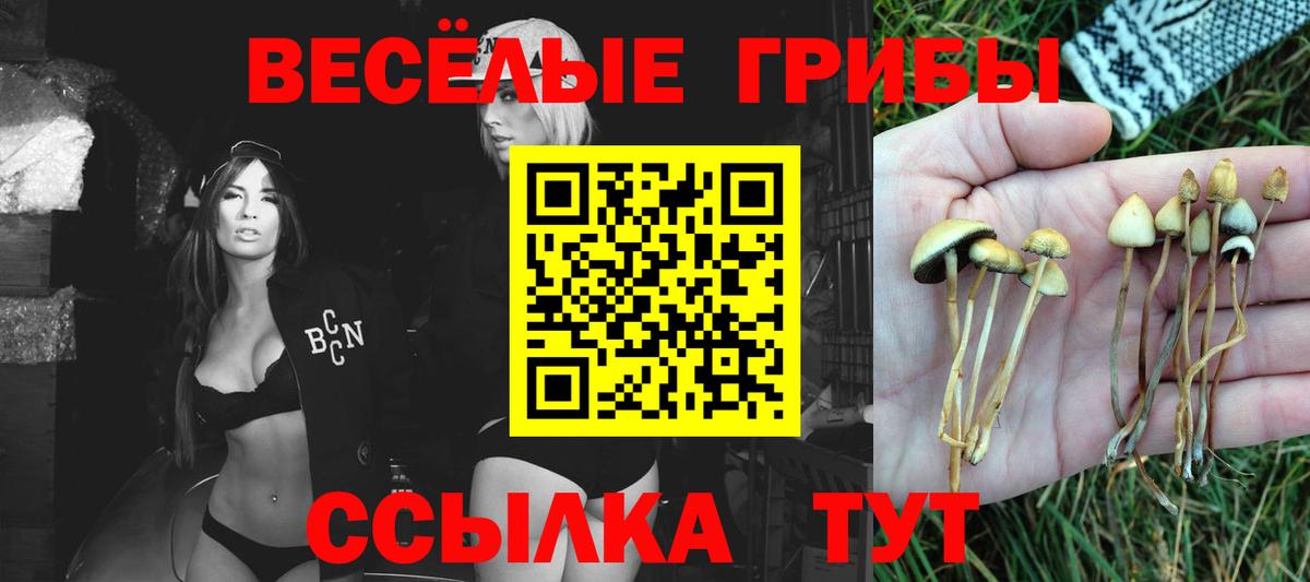 Псилоцибиновые грибы Magic Shrooms Ленинск-Кузнецкий